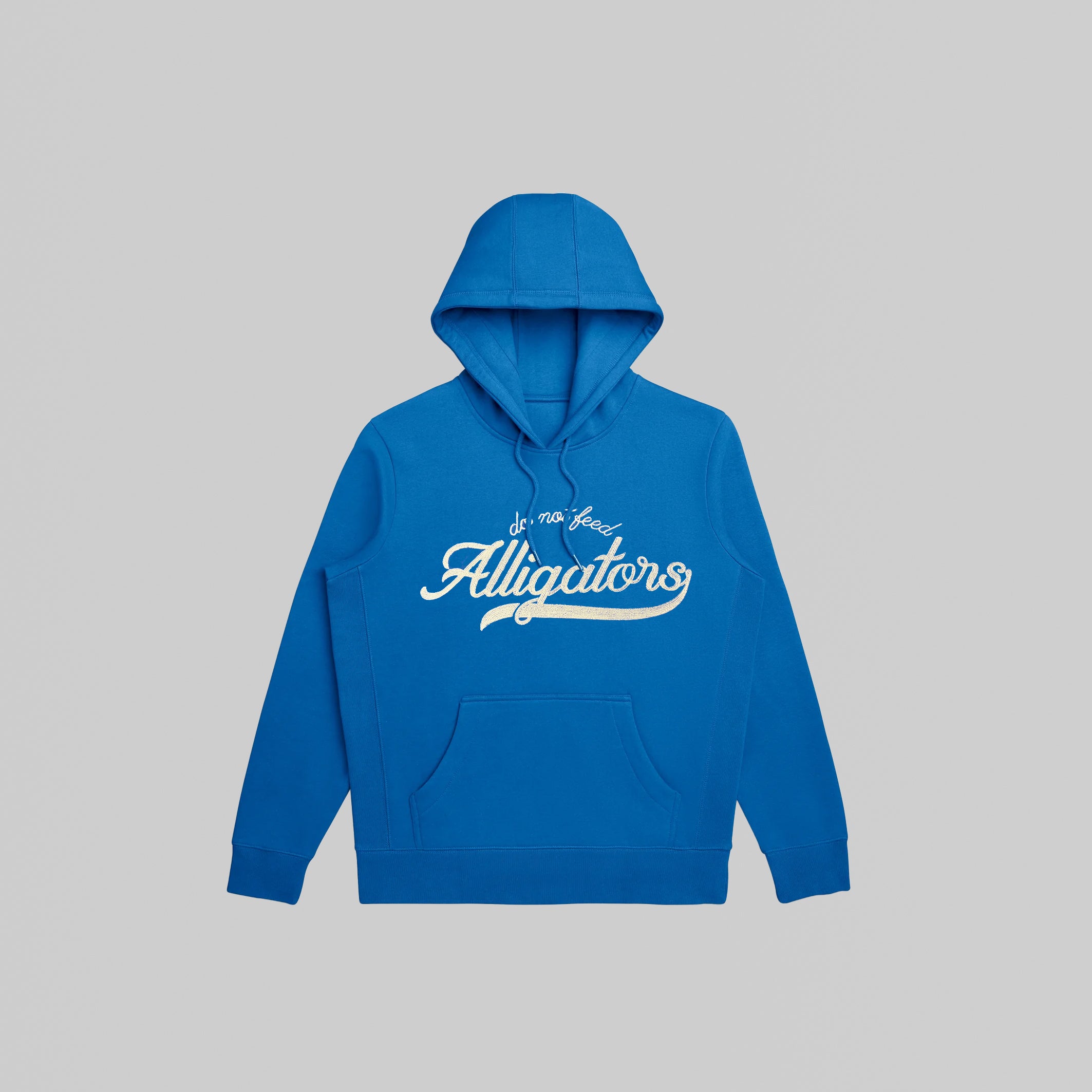Blue Hoodie